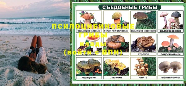 a pvp Елабуга