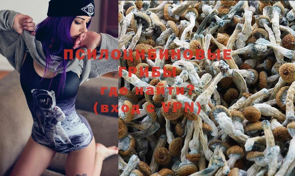 a pvp Елабуга
