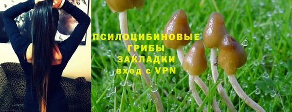 MDMA Ельня