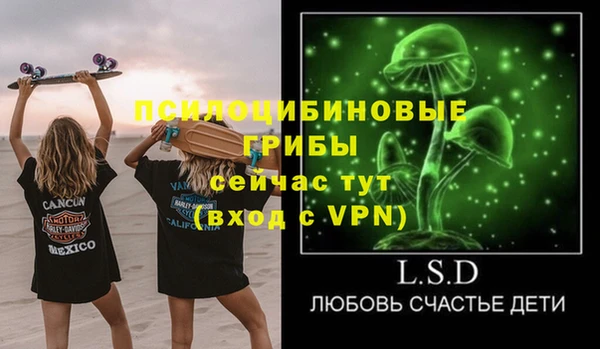 альфа пвп Елизово