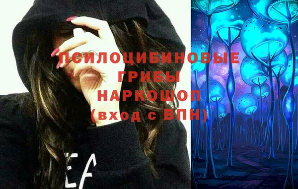 a pvp Елабуга