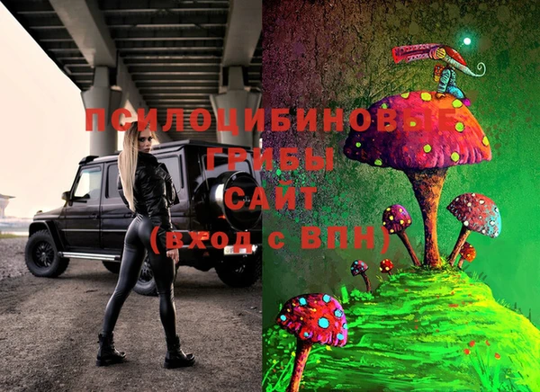 MDMA Ельня