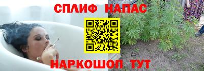 стаф Балашиха