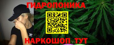 индика Заводоуковск