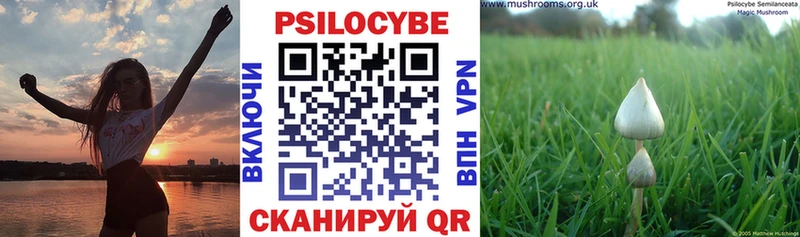 Галлюциногенные грибы ЛСД  мега маркетплейс  Рузаевка 