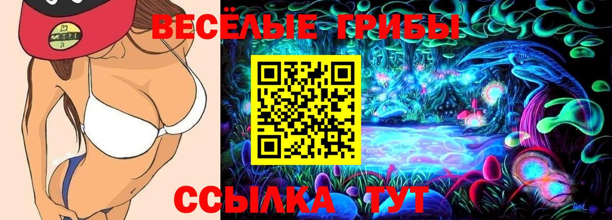 Рузаевка  Псилоцибиновые грибы GOLDEN TEACHER  Вход с VPN 