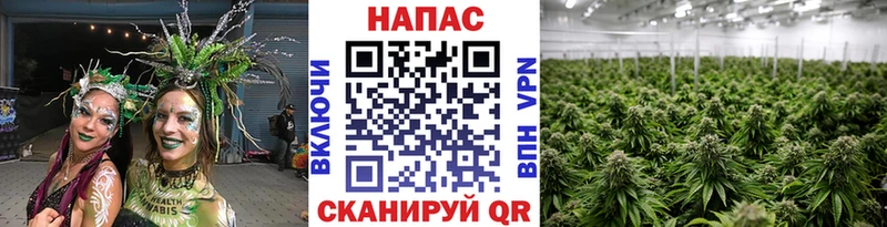 Конопля VHQ kraken зеркало Рузаевка